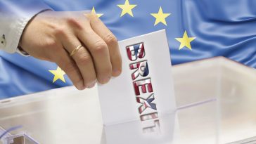 Reach Alcance Edition 12 Cover: European Union Elections