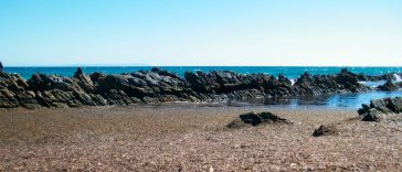 José Carlos García Gómez