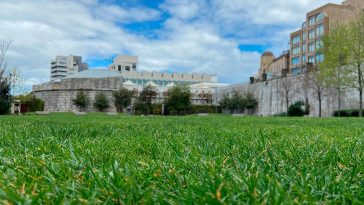 Air Quality Gibraltar Improves Coronaviurs Lockdown