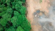 UK Proposes Law to Reduce Deforestation Consultation supply chain