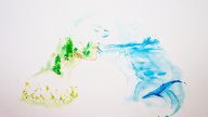 Mar Limpio Art Exhibition Nereide Association Tarifa