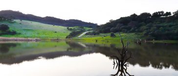 Monte de la Torre Trail Embalse del prior ruta sendero los barrios algeciras