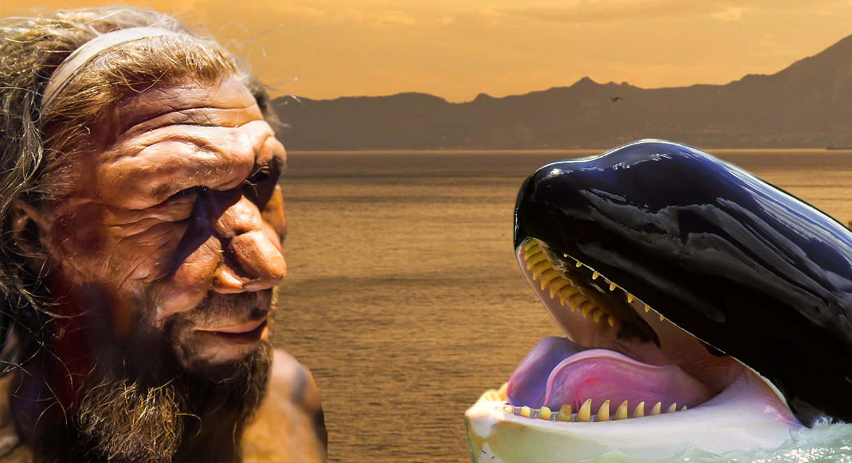 neandertales y orcas atun estrecho de gibraltar manu esteve